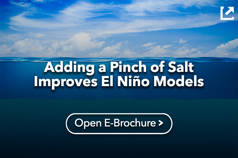 Adding a Pinch of Salt Improves El Niño Models