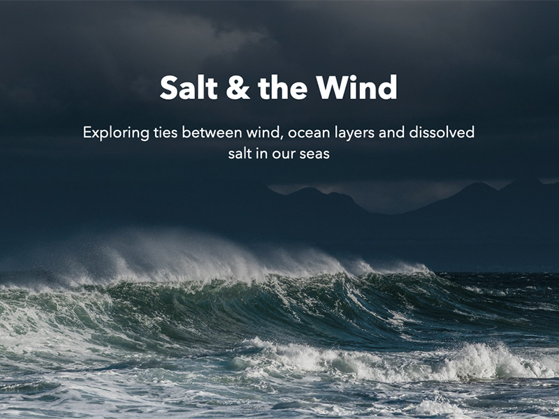 Salt & the Wind