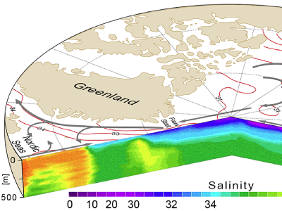 Map and cross-sectional diagram of salinity in the Arctic Ocean