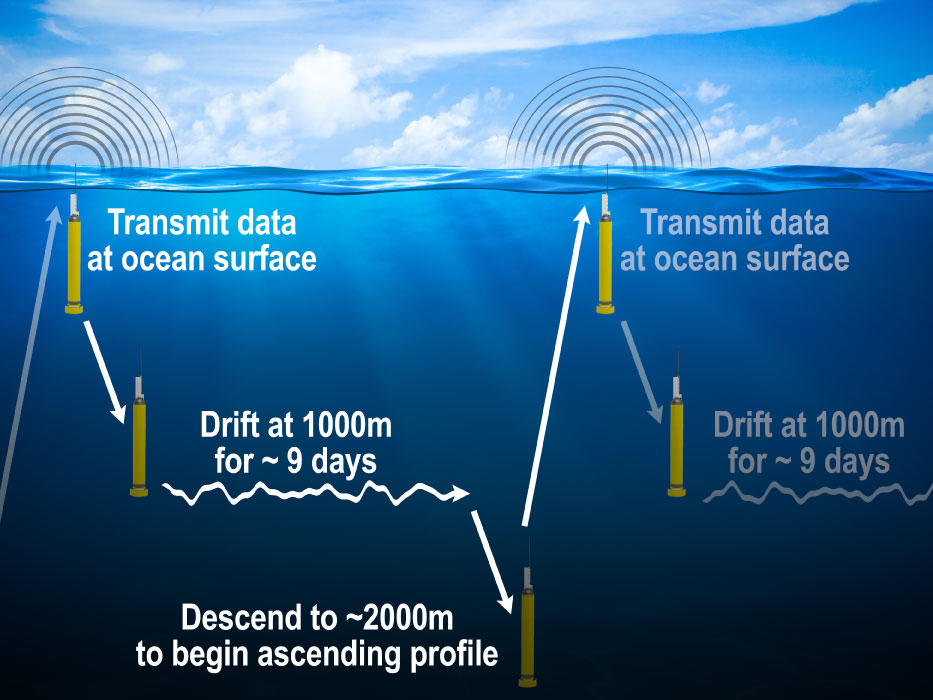 Argo floats drift at depth then rise to the surface while measuring temperature and salinity