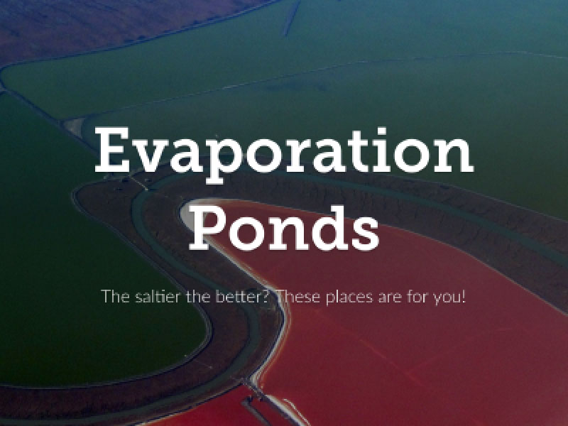 E-brochure cover page (evaporation pond)
