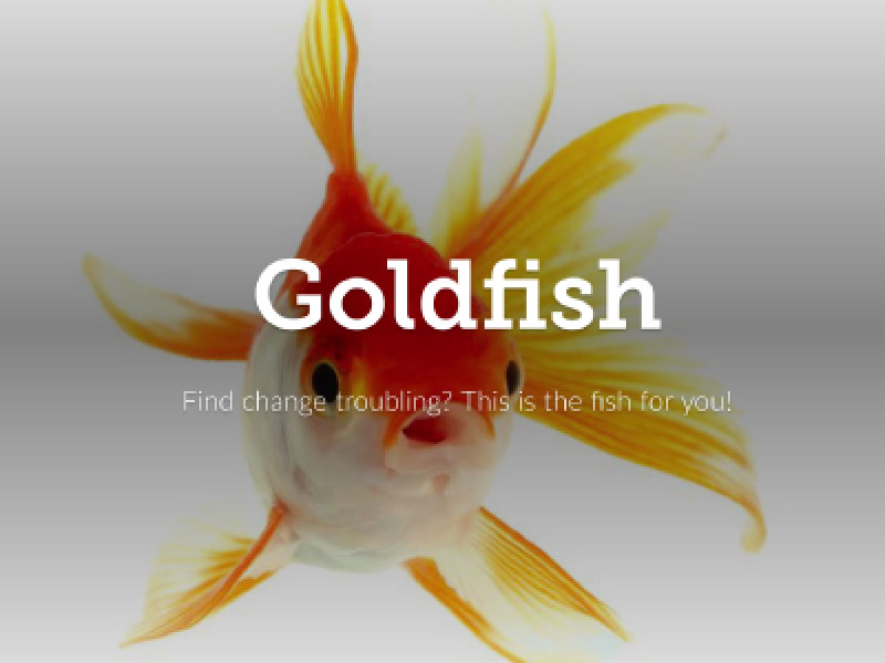 E-brochure cover page (goldfish)