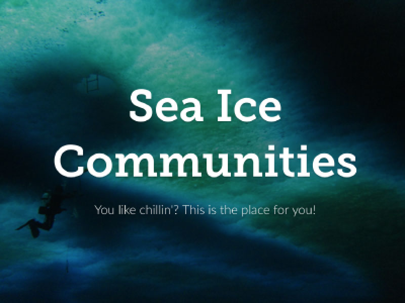 E-brochure cover page (sea ice)