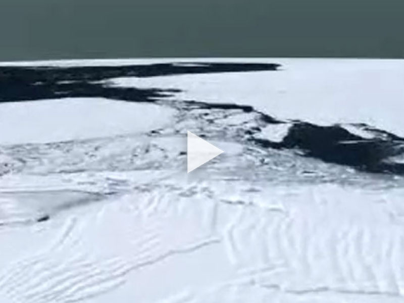 Sea ice