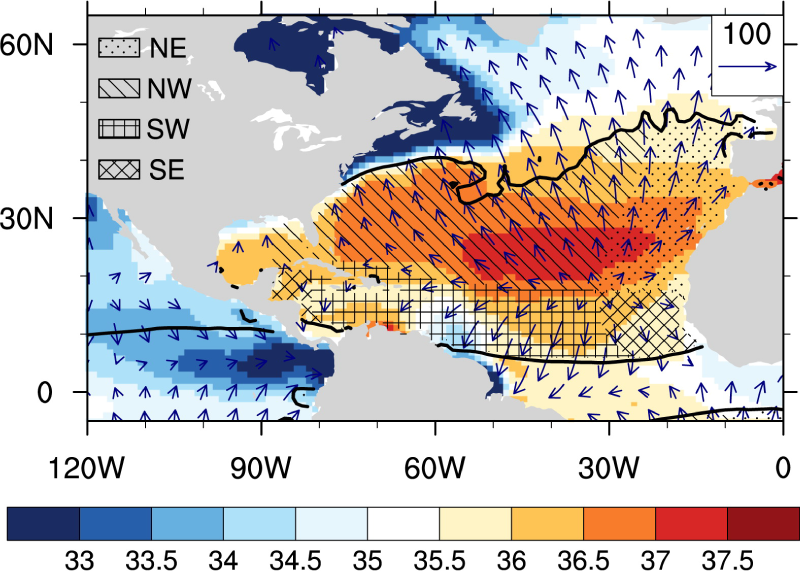 March-May climatology (1950–2009) of sea surface salinity (shaded), moisture flux divergence (thick contours) and the divergent component of moisture flux (vectors) over the North Atlantic