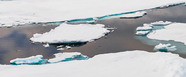 Sea ice boundary