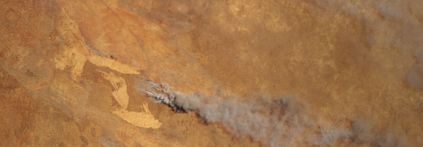 LandSat image: dust