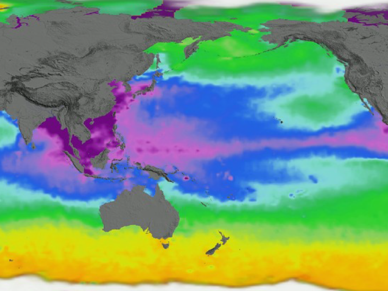 Global view of sea surface density
