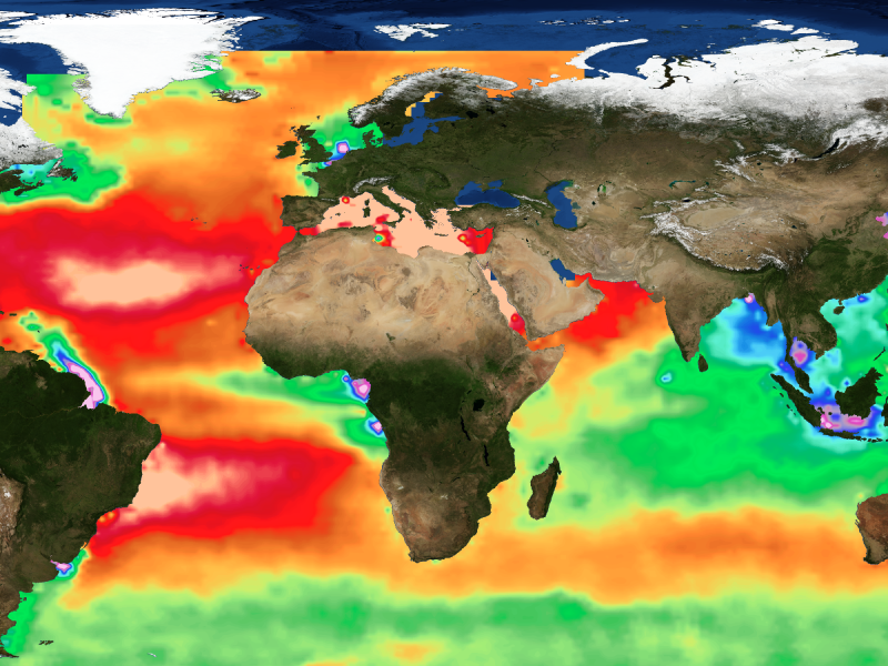 Global view of ocean alkalinity