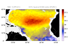 Sea surface salinity, April 19, 2014