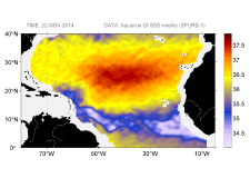 Sea surface salinity, November 22, 2014