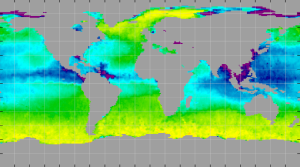 Sea surface density, August 2011