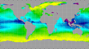 Sea surface density, October 2013