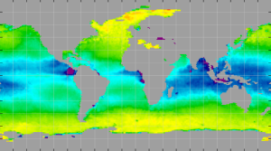 Sea surface density, February 2014