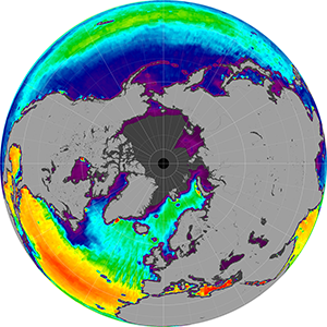 Sea surface salinity in the Northern Hemisphere, August 2014