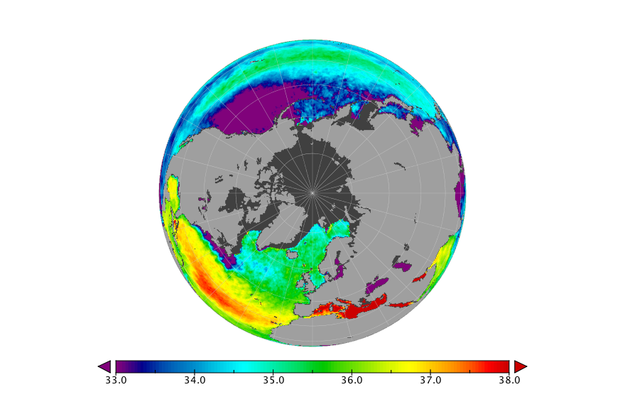 Monthly composite map of sea surface salinity, February 2019.