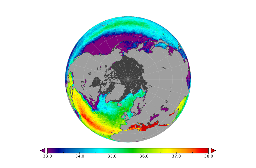 Monthly composite map of sea surface salinity, June 2019.