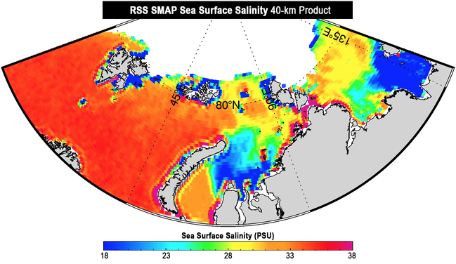 RSS SMAP sea surface salinity map