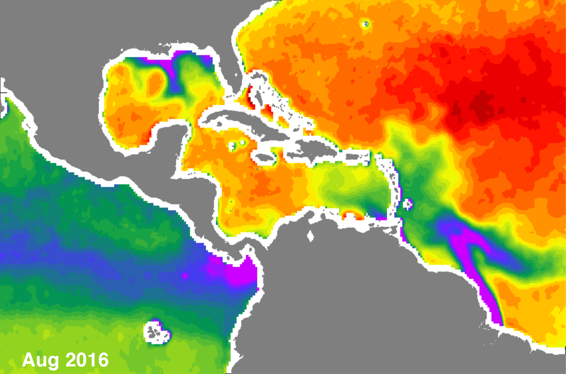 Sea surface salinity in the Gulf of Mexico