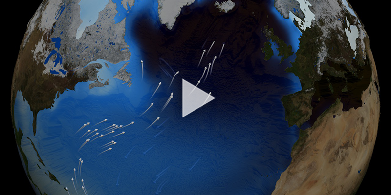 Thermohaline circulation