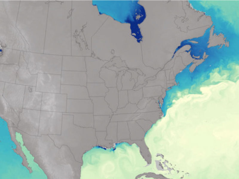 Map of sea surface salinity eash and west of America