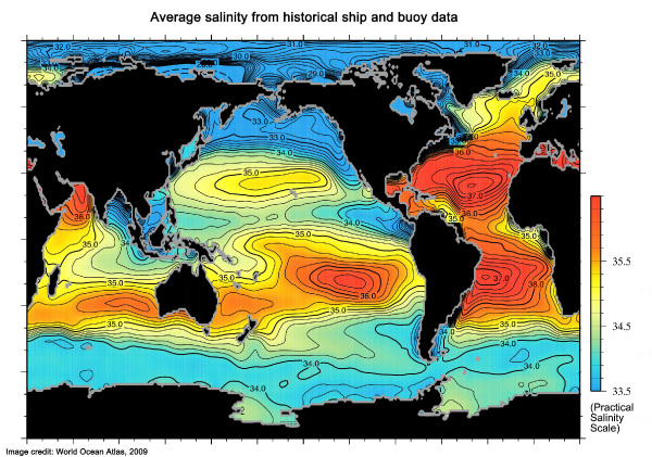 Average salinity from historical ship and buoy data