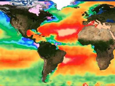 Global map of sea surface alkalinity