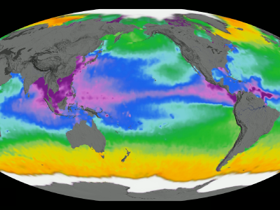 Global map of sea surface density