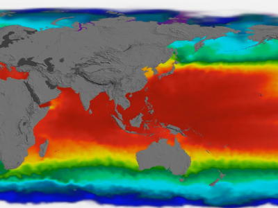 Global map of sea surface temperature