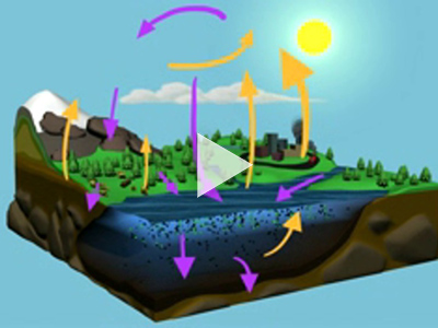 Block diagram of the water cycle