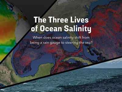 The Three Lives of Ocean Salinity