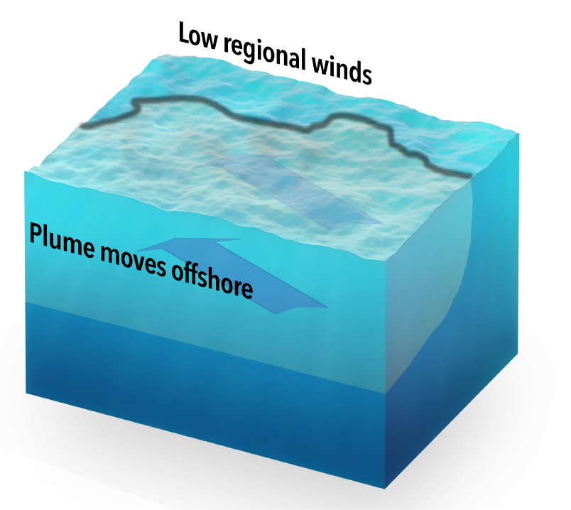 The large extent of the 2010 plume was helped by low winds in the region. These winds allowed the plume to move well offshore.