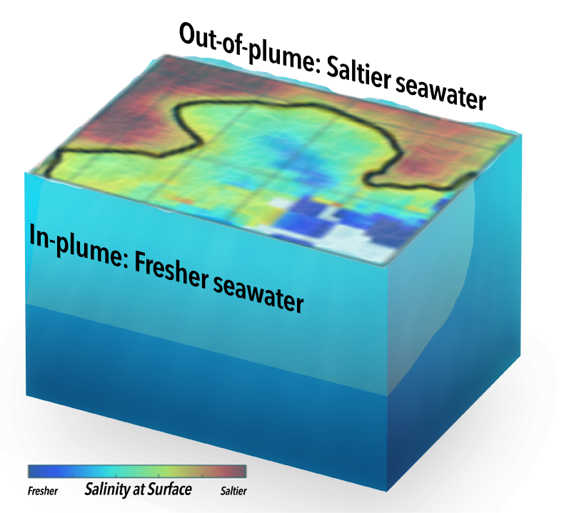 Defined by low salinity, the Amazon/Orinoco plume covers only 60% of the study area.