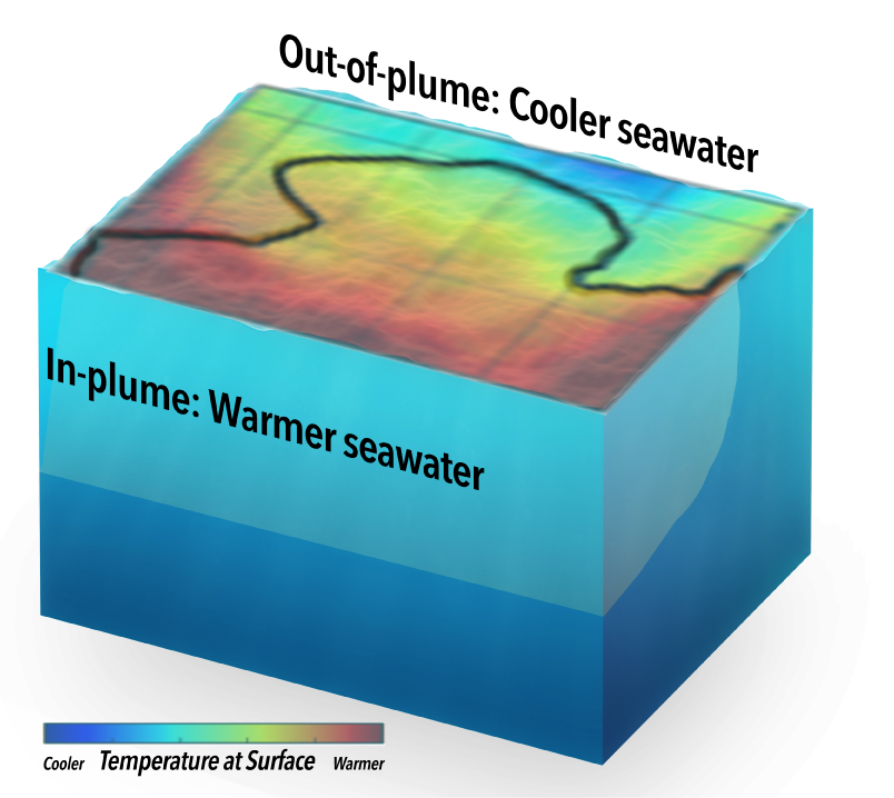 Defined by low salinity, the plume’s water is warmer than average. Together, these properties help the plume 